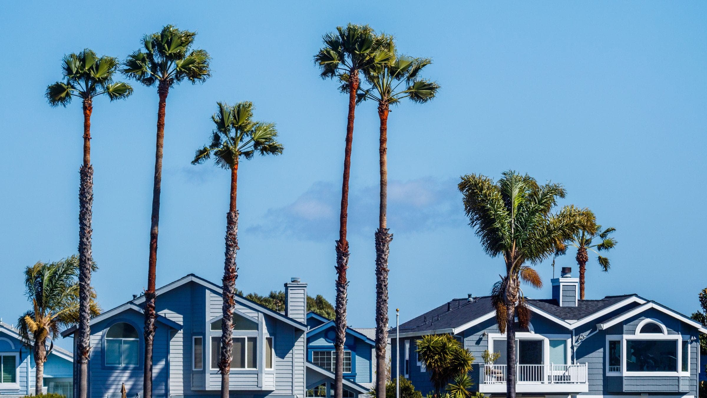 Serene seaside neighborhood with palm trees and charming houses under a clear blue sky, the kind of North County setting our movers work in around Carlsbad, CA