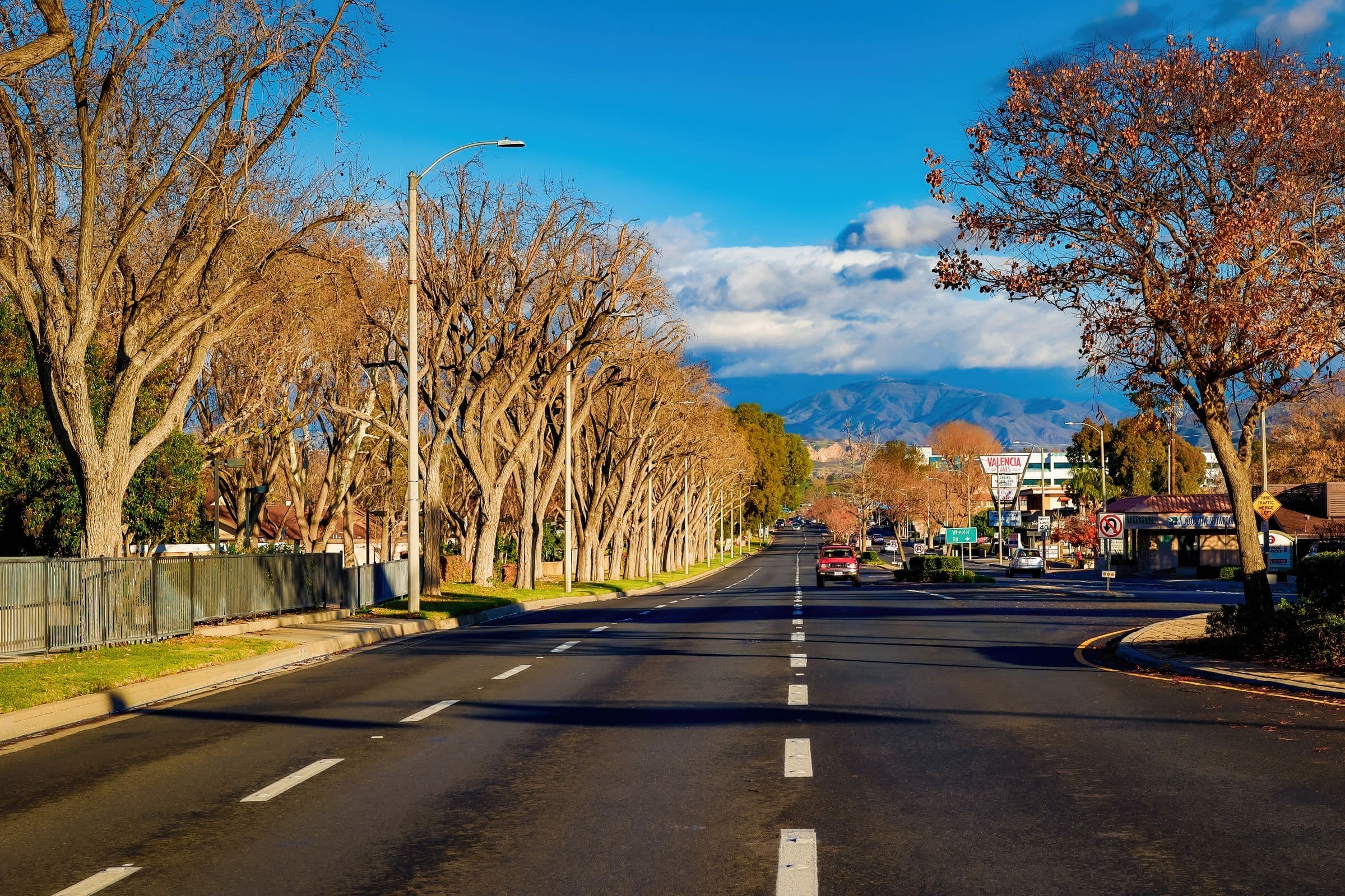 Sunny day view down a tree-lined avenue with clear skies and distant mountain range, the kind of North County setting our movers work in around San Marcos, CA